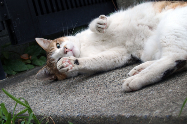 20150815_007.jpg