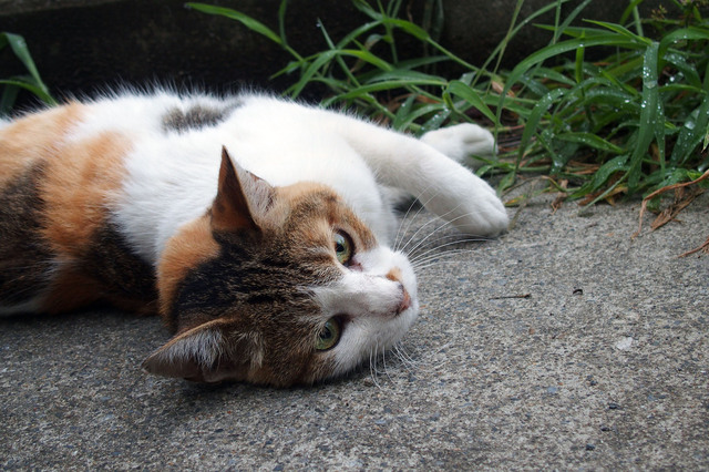 20150815_008.jpg
