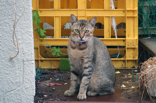 20150815_013.jpg