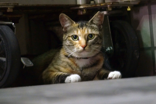20150818_002.jpg
