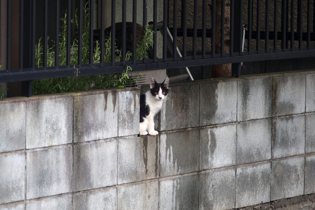 20150821_001.jpg