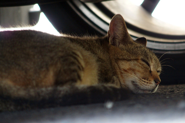 20150822_003.jpg