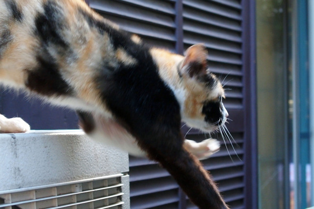 20150822_006.jpg