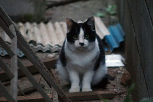 20151114_001.jpg