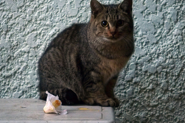 20151114_003.jpg