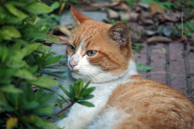 20151115_004.jpg