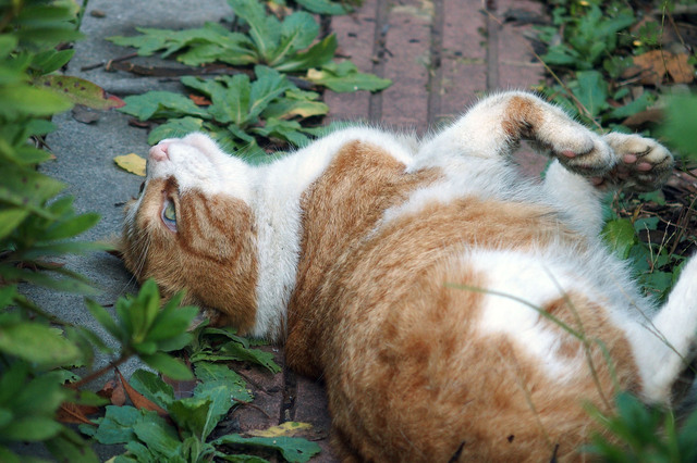20151115_005.jpg