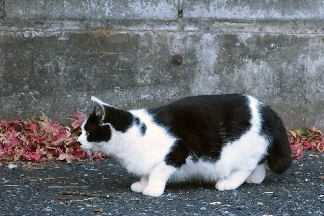 20151220_001.jpg