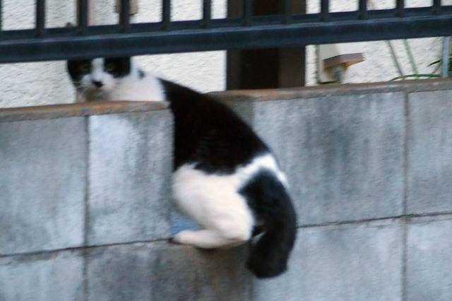20151220_003.jpg