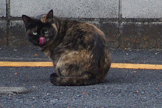 20160123_004.jpg