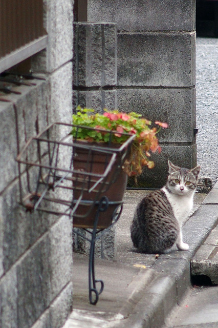 20160223_005.jpg