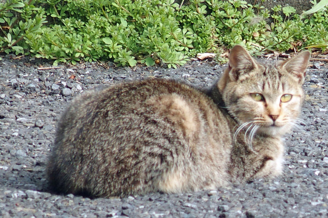 20160305_001.jpg