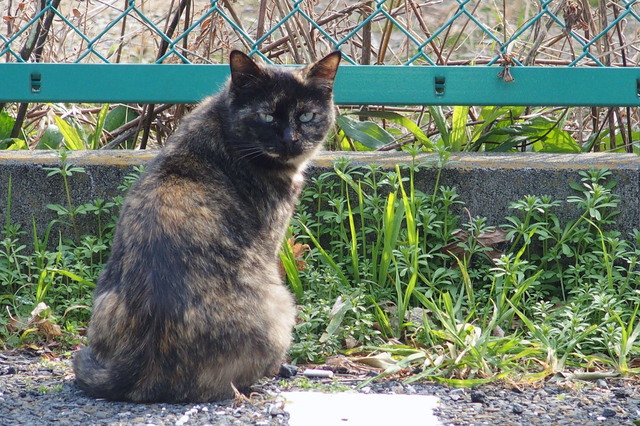20160305_002.jpg