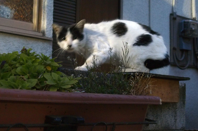 20160305_006.jpg