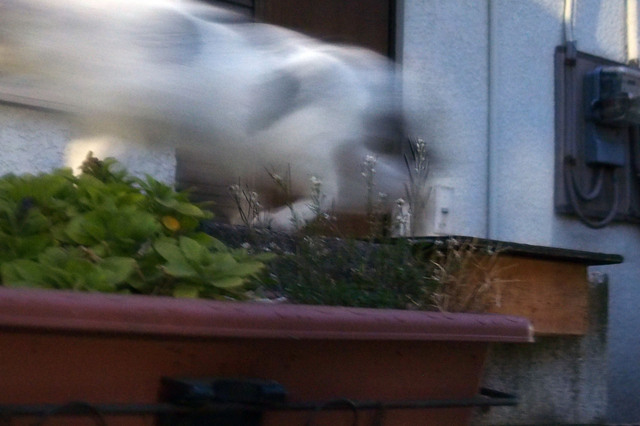 20160305_007.jpg