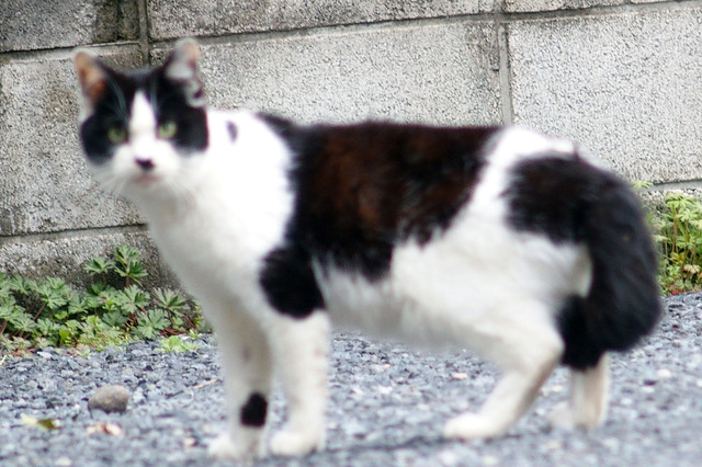 20160313_001.jpg