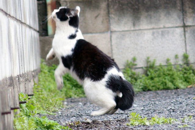 20160313_004.jpg