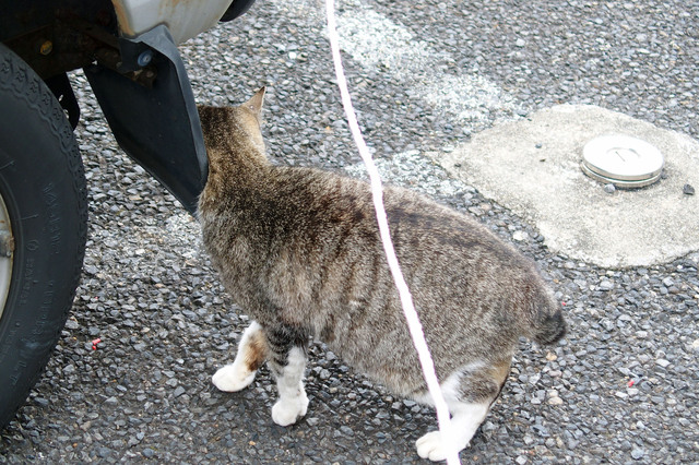 20160313_015.jpg
