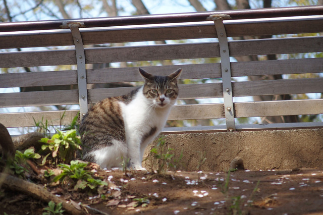 20160406_001.jpg