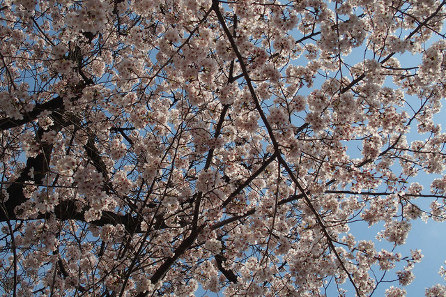 20160406_002.jpg