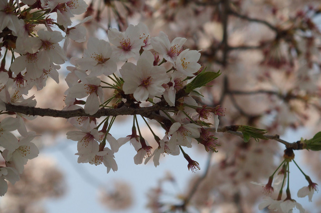 20160406_003.jpg