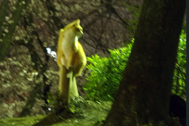 20160406_003.jpg