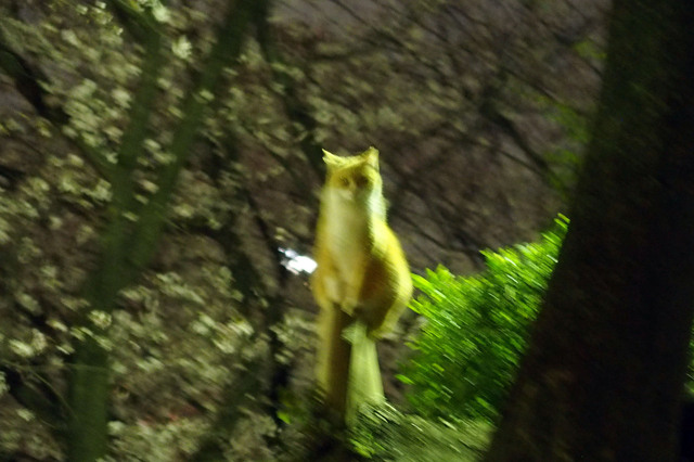 20160406_004.jpg
