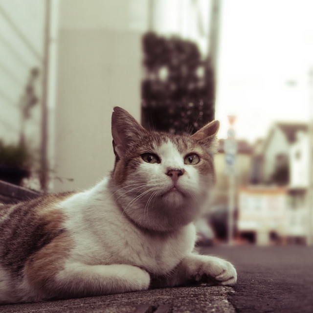 20160730_004.jpg
