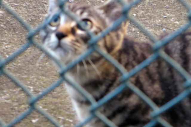20160730_011.jpg