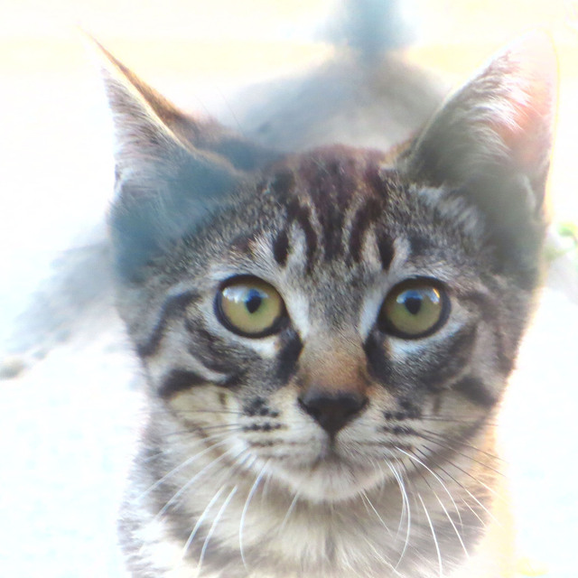 20160730_013.jpg