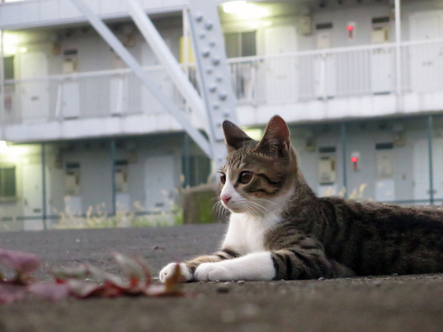 20160827_001.jpg