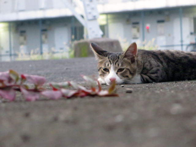 20160827_004.jpg