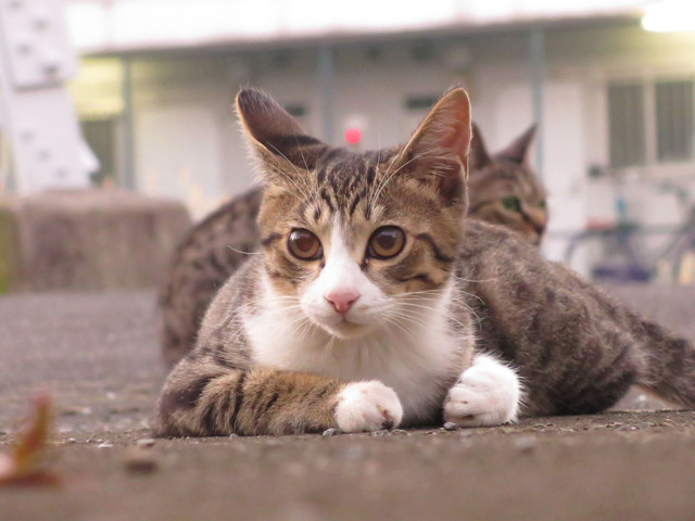 20160827_006.jpg