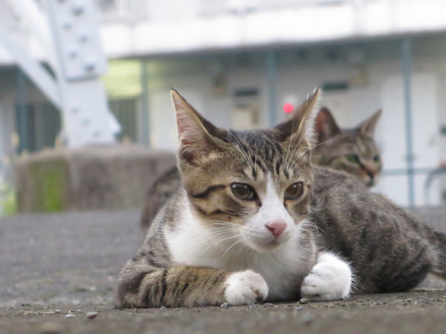 20160827_007.jpg