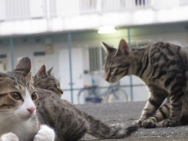 20160827_008.jpg