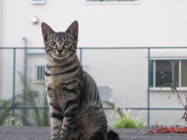 20160827_009.jpg
