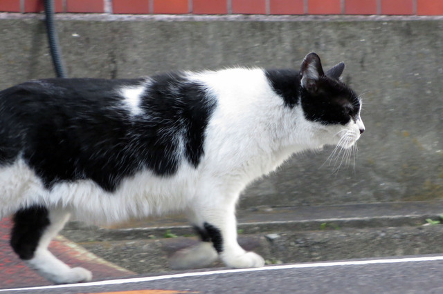 20170103_003.jpg