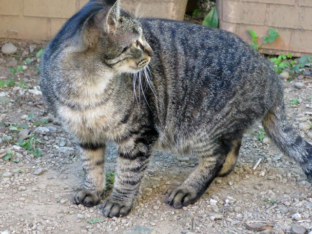 20170205_002.jpg