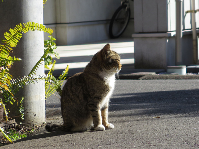 20170215_003.jpg