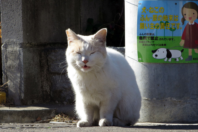 20170219_001.jpg