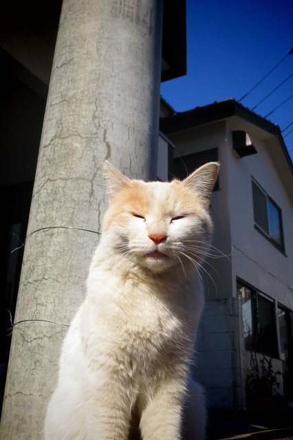 20170219_004.jpg