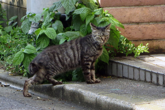 20170518_001.jpg