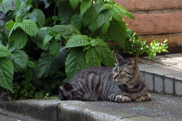 20170518_002.jpg