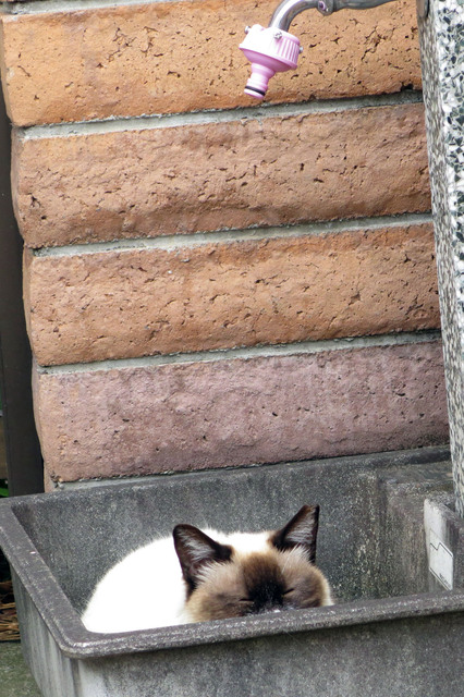 20170524_002.jpg