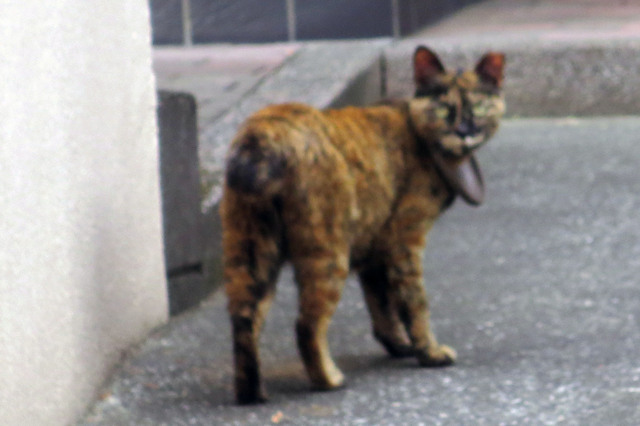 20170606_001.jpg