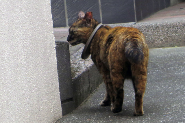 20170606_002.jpg