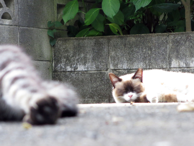 20170606_005.jpg