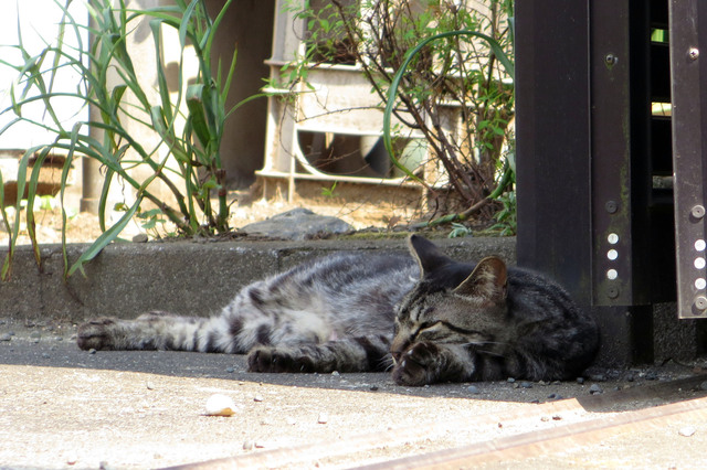 20170616_003.jpg