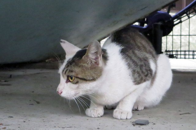 20170618_003.jpg