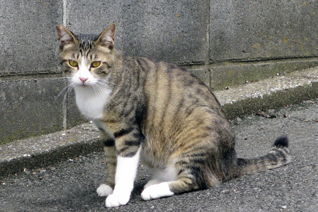 20170702_004.jpg